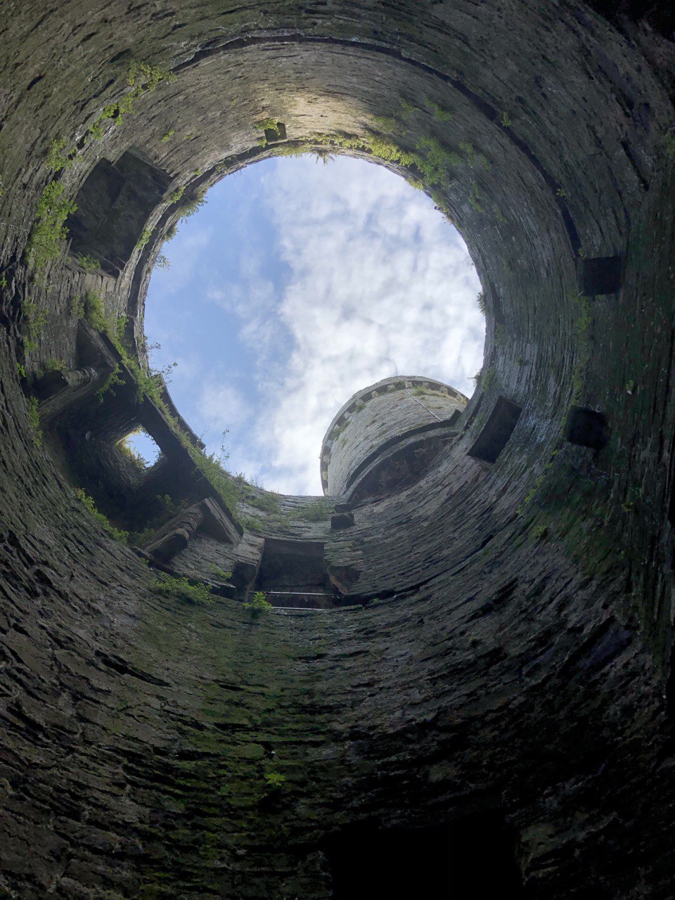 image from Contact